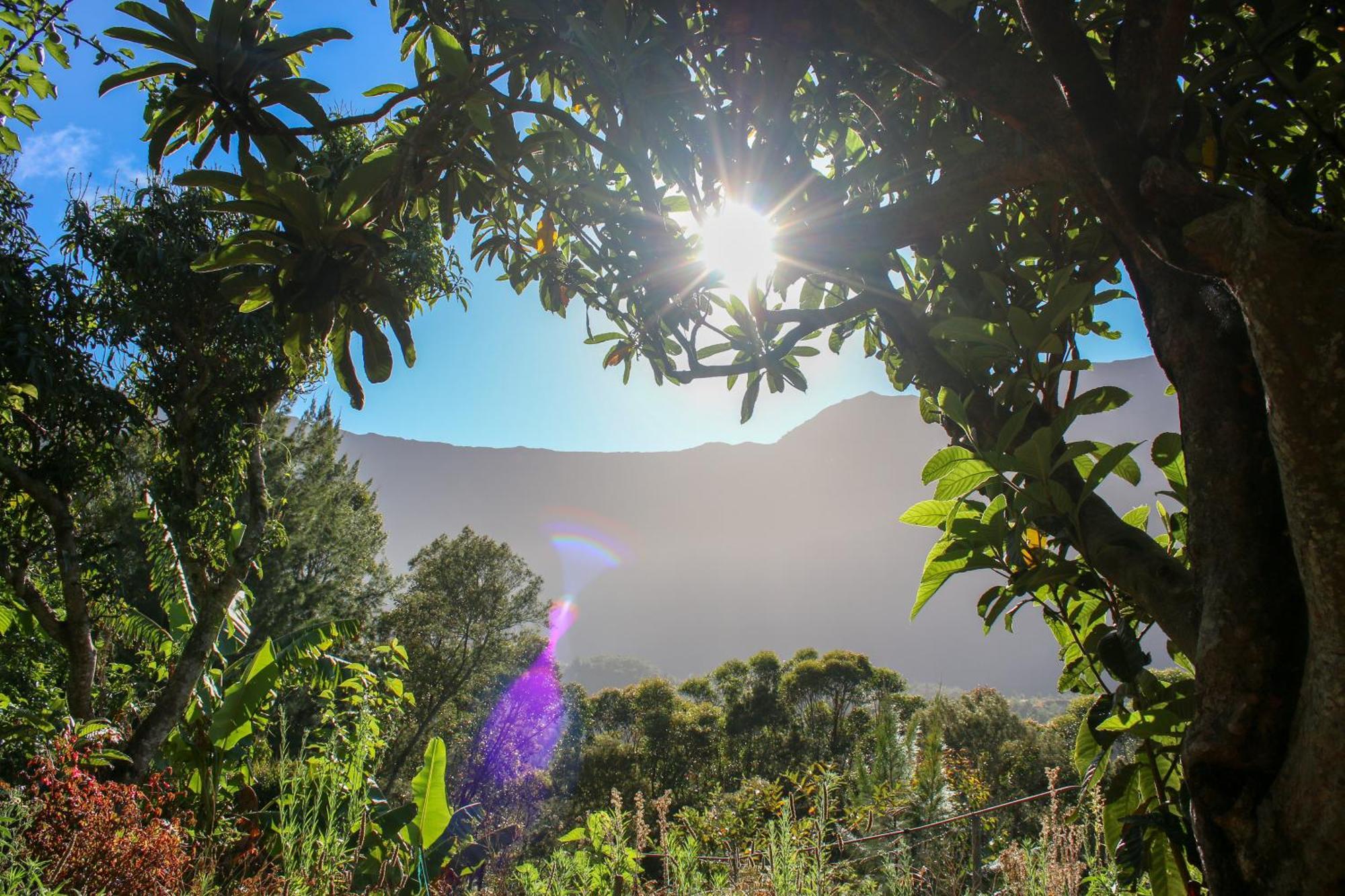 Au Coeur du Paradis Cilaos Bagian luar foto